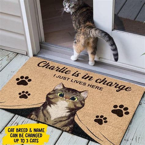 personalized cat door mats outdoor.